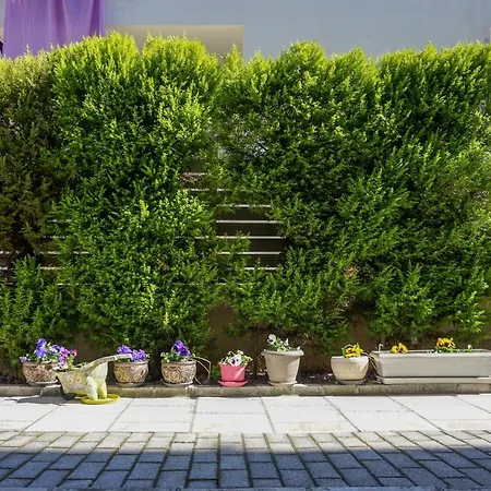 Casa Elegante Apartament